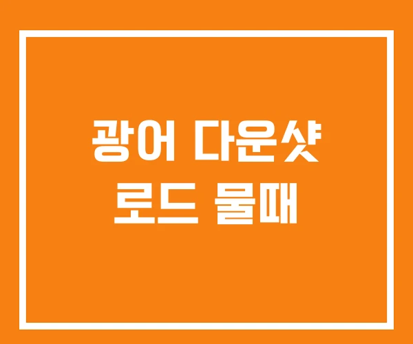 광어 다운샷 로드 물때 광어 다운샷 로드 물때