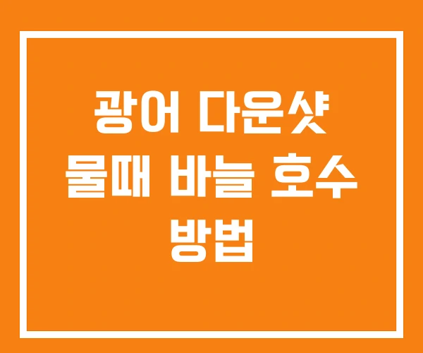 광어 다운샷 물때 바늘 호수 방법 광어 다운샷 물때 바늘 호수 방법
