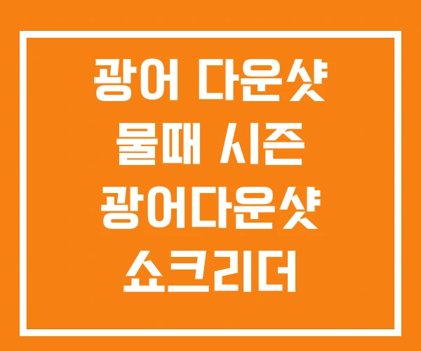 광어 다운샷 물때 시즌 광어다운샷 쇼크리더 광어 다운샷 물때 시즌 광어다운샷 쇼크리더