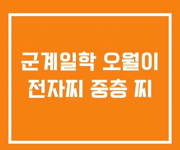 군계일학 오월이 전자찌 중층 찌 군계일학 오월이 전자찌 중층 찌