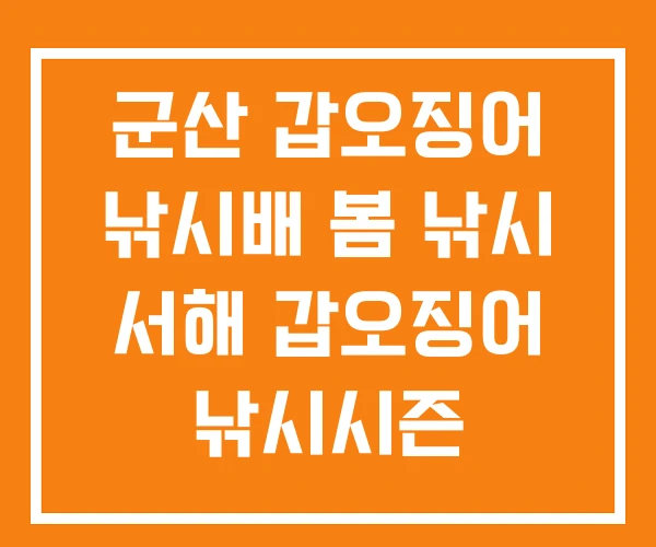 군산 갑오징어 낚시배 봄 낚시 서해 갑오징어 낚시시즌 군산 갑오징어 낚시배 봄 낚시 서해 갑오징어 낚시시즌