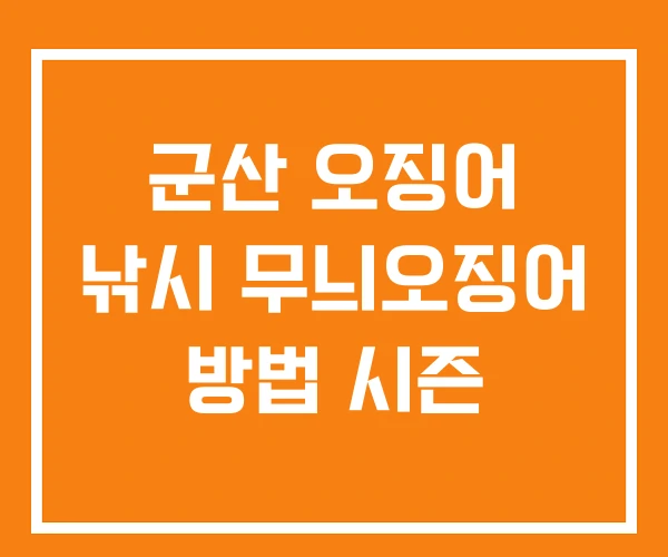 군산 오징어 낚시 무늬오징어 방법 시즌 군산 오징어 낚시 무늬오징어 방법 시즌