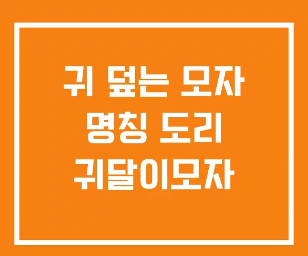 귀 덮는 모자 명칭 도리 귀달이모자 귀 덮는 모자 명칭 도리 귀달이모자
