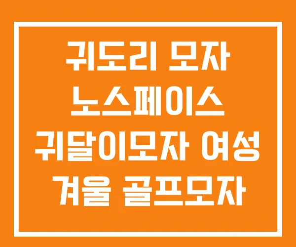 귀도리 모자 노스페이스 귀달이모자 여성 겨울 골프모자 귀달이 귀도리 모자 노스페이스 귀달이모자 여성 겨울 골프모자 귀달이
