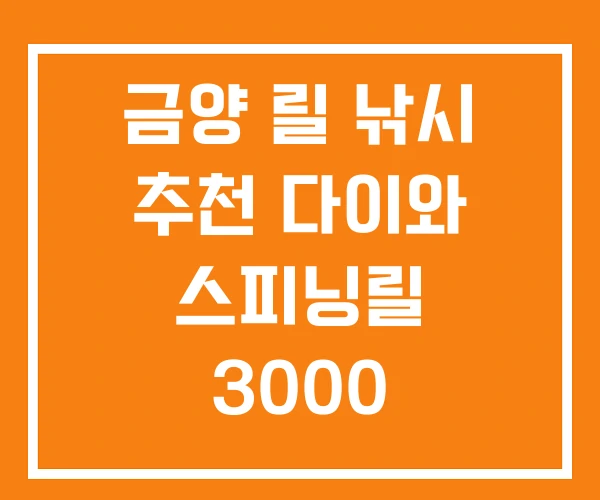 금양 릴 낚시 추천 다이와 스피닝릴 3000 금양 릴 낚시 추천 다이와 스피닝릴 3000