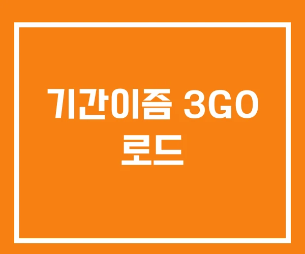 기간이즘 3GO 로드