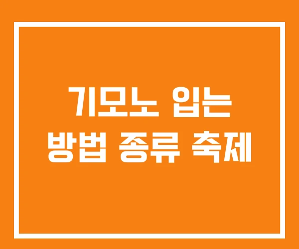 기모노 입는 방법 종류 축제 기모노 입는 방법 종류 축제