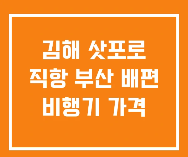 김해 삿포로 직항 부산 배편 비행기 가격 김해 삿포로 직항 부산 배편 비행기 가격