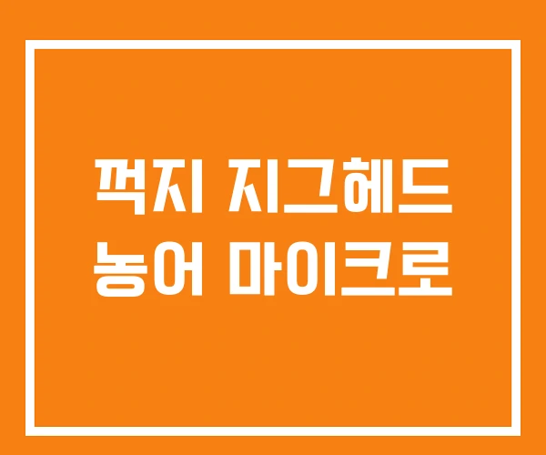 꺽지 지그헤드 농어 마이크로 꺽지 지그헤드 농어 마이크로