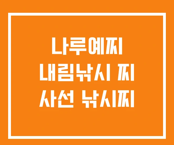 나루예찌 내림낚시 찌 사선 낚시찌 나루예찌 내림낚시 찌 사선 낚시찌