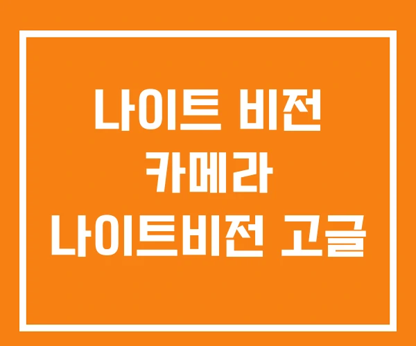 나이트 비전 카메라 나이트비전 고글 나이트 비전 카메라 나이트비전 고글