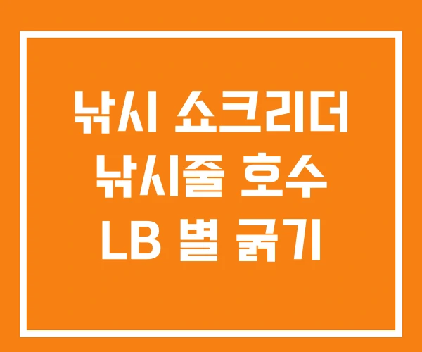 낚시 쇼크리더 낚시줄 호수 LB 별 굵기