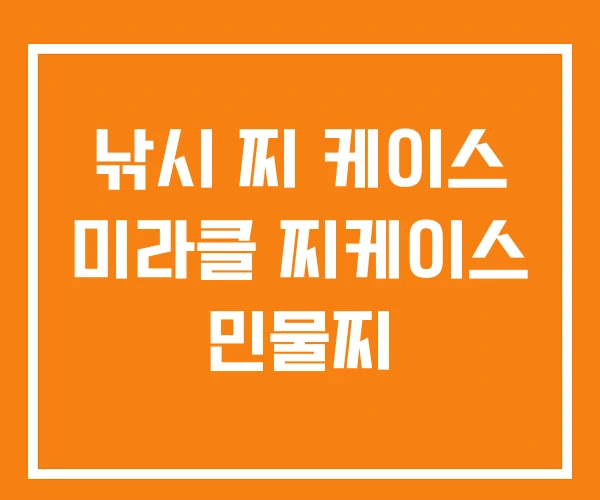 낚시 찌 케이스 미라클 찌케이스 민물찌 낚시 찌 케이스 미라클 찌케이스 민물찌