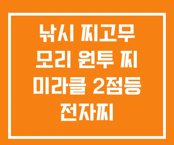 낚시 찌고무 모리 원투 찌 미라클 2점등 전자찌 낚시 찌고무 모리 원투 찌 미라클 2점등 전자찌