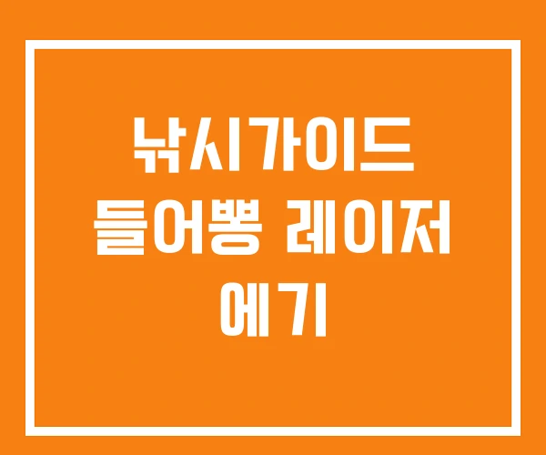 낚시가이드 들어뽕 레이저 에기 낚시가이드 들어뽕 레이저 에기