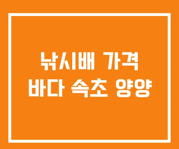 낚시배 가격 바다 속초 양양 낚시배 가격 바다 속초 양양