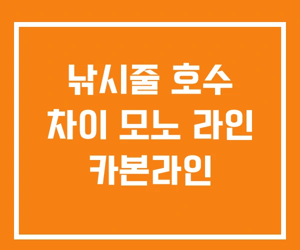 낚시줄 호수 차이 모노 라인 카본라인