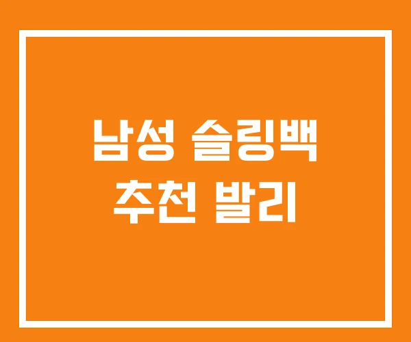 남성 슬링백 추천 발리