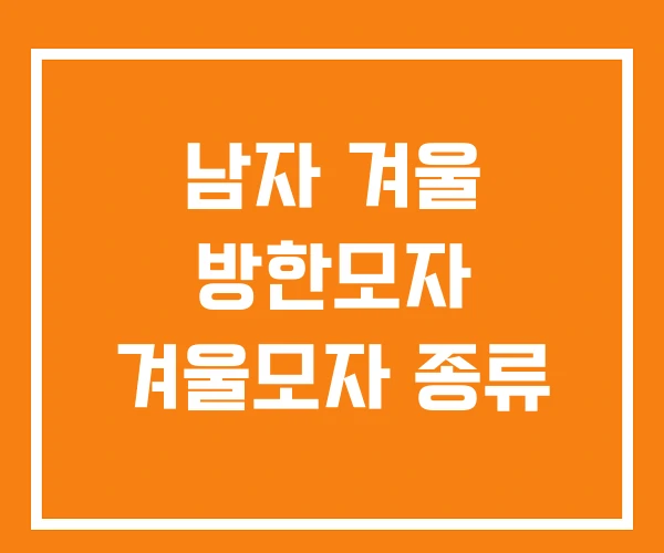 남자 겨울 방한모자 겨울모자 종류 남자 겨울 방한모자 겨울모자 종류