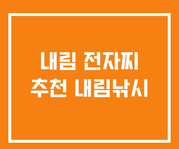 내림 전자찌 추천 내림낚시