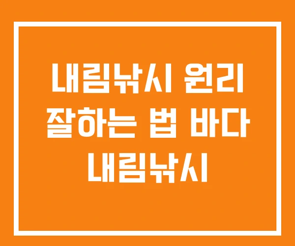 내림낚시 원리 잘하는 법 바다 내림낚시 내림낚시 원리 잘하는 법 바다 내림낚시
