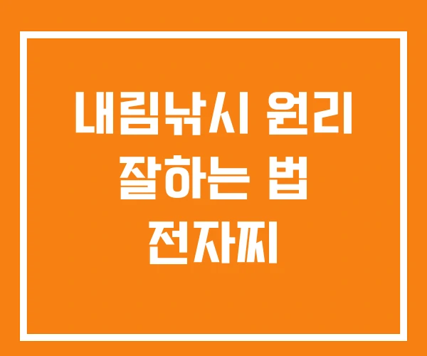 내림낚시 원리 잘하는 법 전자찌 내림낚시 원리 잘하는 법 전자찌