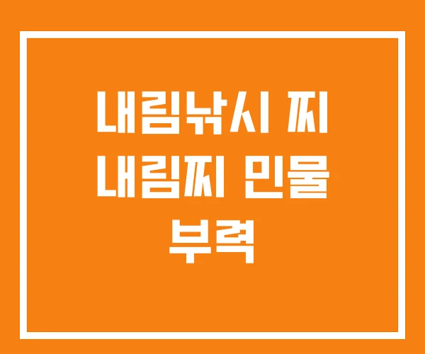 내림낚시 찌 내림찌 민물 부력 내림낚시 찌 내림찌 민물 부력
