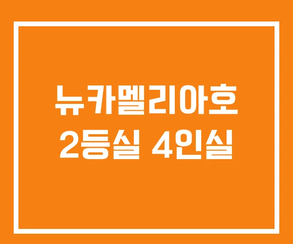 뉴카멜리아호 2등실 4인실
