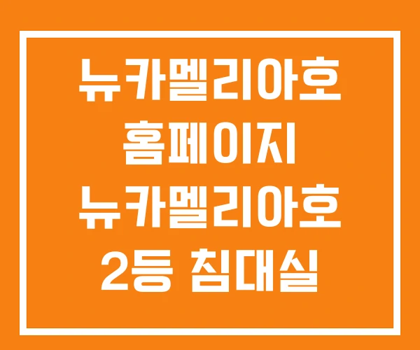 뉴카멜리아호 홈페이지 뉴카멜리아호 2등 침대실 가격 뉴카멜리아호 홈페이지 뉴카멜리아호 2등 침대실 가격