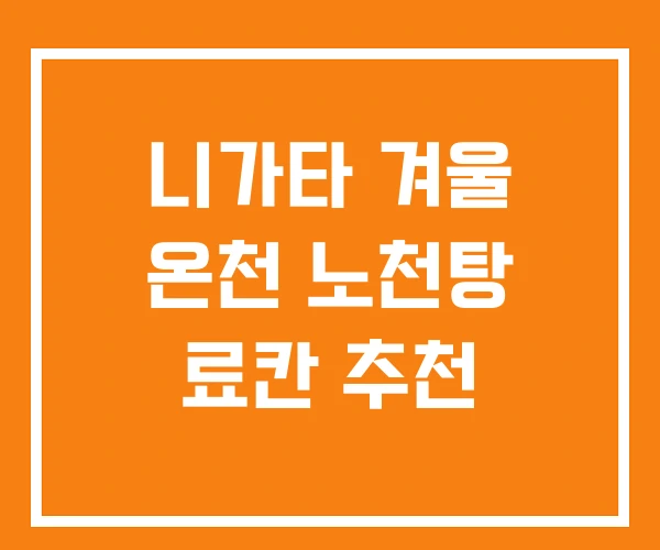 니가타 겨울 온천 노천탕 료칸 추천