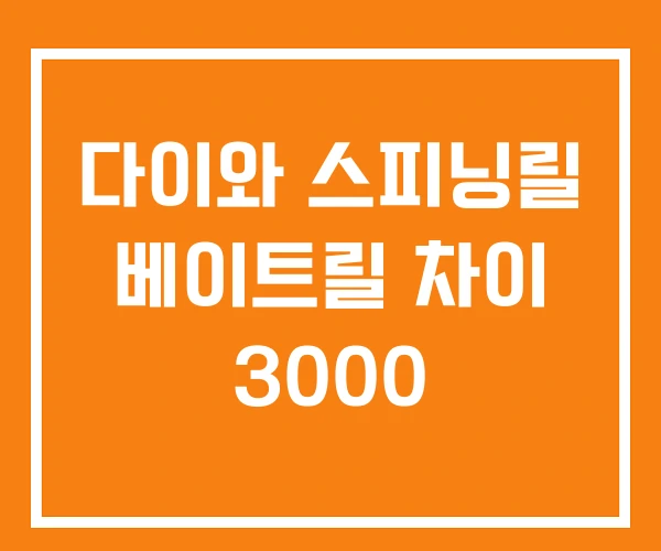 다이와 스피닝릴 베이트릴 차이 3000 다이와 스피닝릴 베이트릴 차이 3000