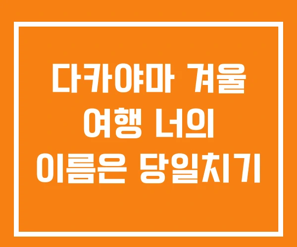 다카야마 겨울 여행 너의 이름은 당일치기 다카야마 겨울 여행 너의 이름은 당일치기