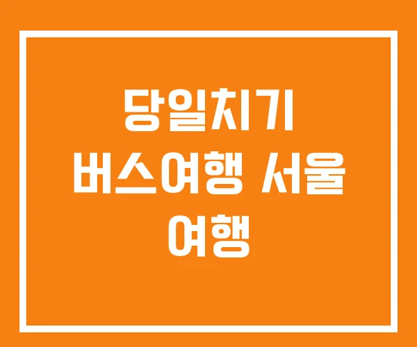 당일치기 버스여행 서울 여행 당일치기 버스여행 서울 여행