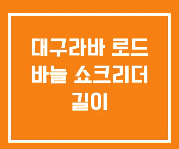 대구라바 로드 바늘 쇼크리더 길이 대구라바 로드 바늘 쇼크리더 길이