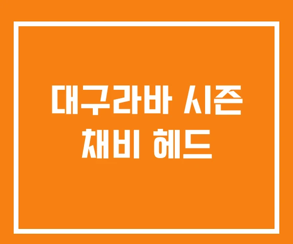 대구라바 시즌 채비 헤드 대구라바 시즌 채비 헤드