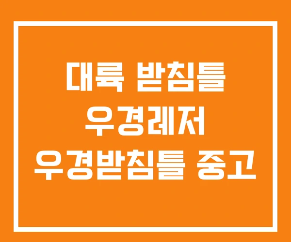 대륙 받침틀 우경레저 우경받침틀 중고 대륙 받침틀 우경레저 우경받침틀 중고