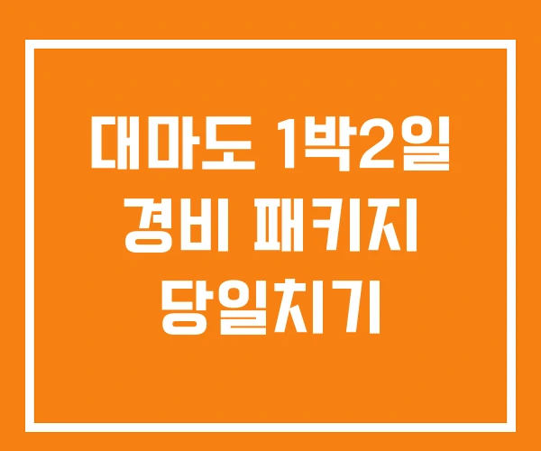 대마도 1박2일 경비 패키지 당일치기
