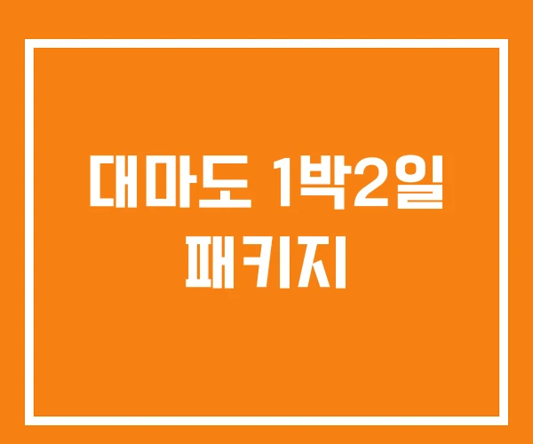 대마도 1박2일 패키지