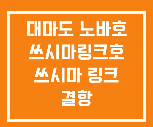 대마도 노바호 쓰시마링크호 쓰시마 링크 결항