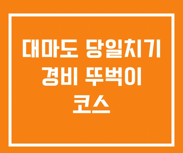 대마도 당일치기 경비 뚜벅이 코스 대마도 당일치기 경비 뚜벅이 코스