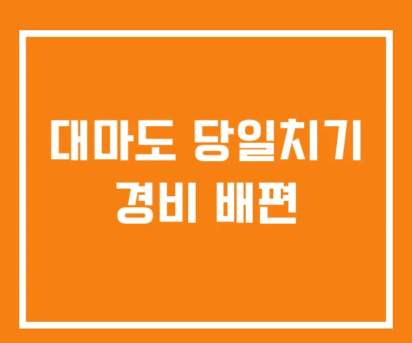 대마도 당일치기 경비 배편