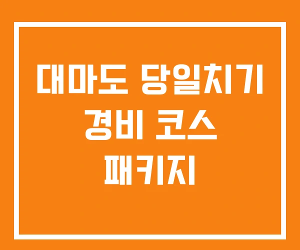 대마도 당일치기 경비 코스 패키지