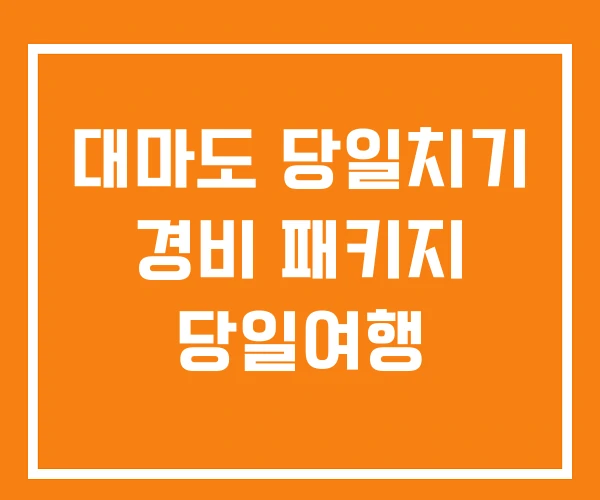 대마도 당일치기 경비 패키지 당일여행