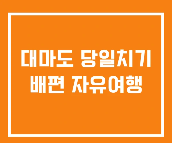 대마도 당일치기 배편 자유여행