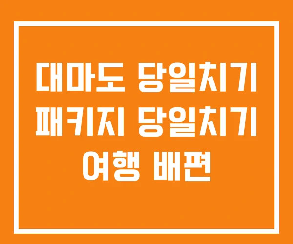 대마도 당일치기 패키지 당일치기 여행 배편 대마도 당일치기 패키지 당일치기 여행 배편