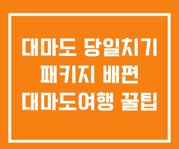 대마도 당일치기 패키지 배편 대마도여행 꿀팁