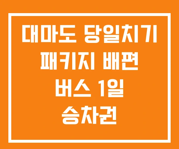 대마도 당일치기 패키지 배편 버스 1일 승차권