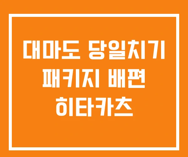 대마도 당일치기 패키지 배편 히타카츠