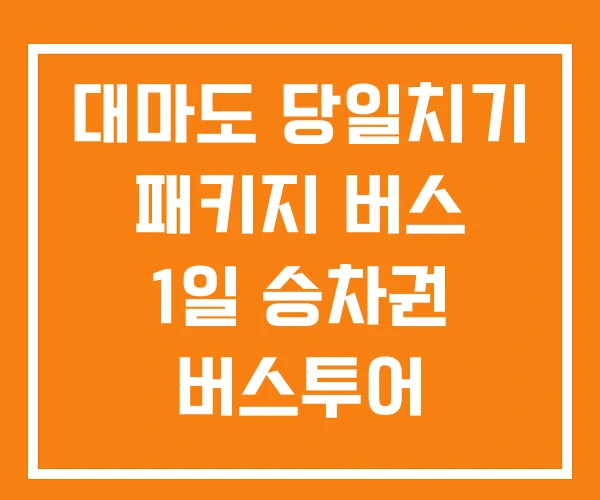 대마도 당일치기 패키지 버스 1일 승차권 버스투어 대마도 당일치기 패키지 버스 1일 승차권 버스투어