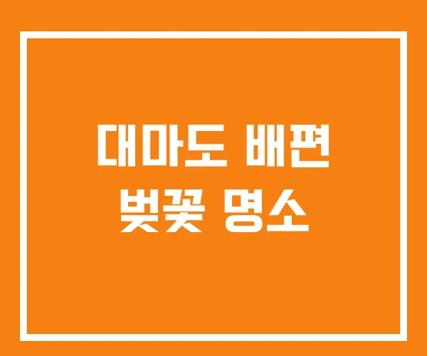 대마도 배편 벚꽃 명소